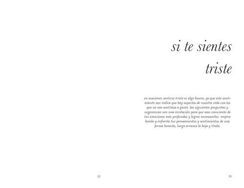 el diario de la tristeza (obras diversas)