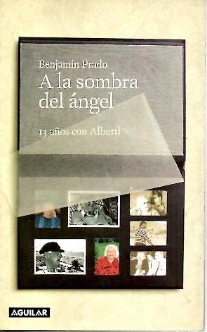 A LA SOMBRA DEL ANGEL (SIN COLECCION)
