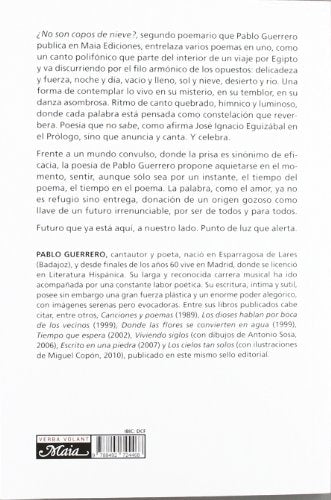 ¿no son copos de nieve?