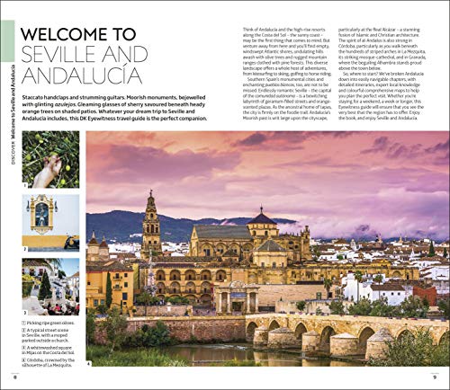 dk eyewitness travel guide seville and andalucia [idioma inglés]