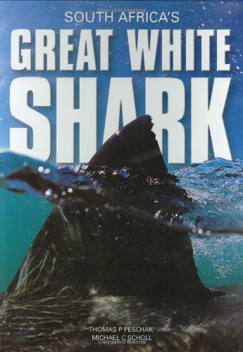 south africa's great white shark