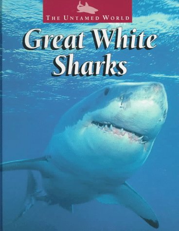 great white sharks (the untamed world)