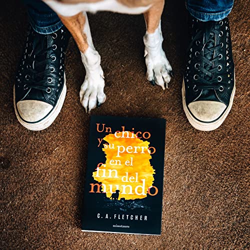 un chico y su perro en el fin del mundo (ciencia ficción)