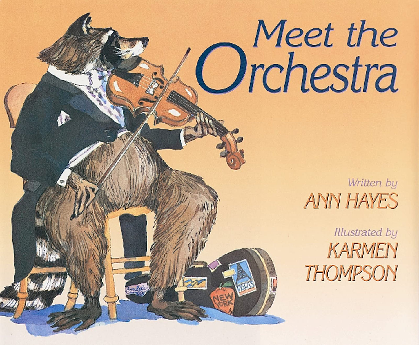 meet the orchestra