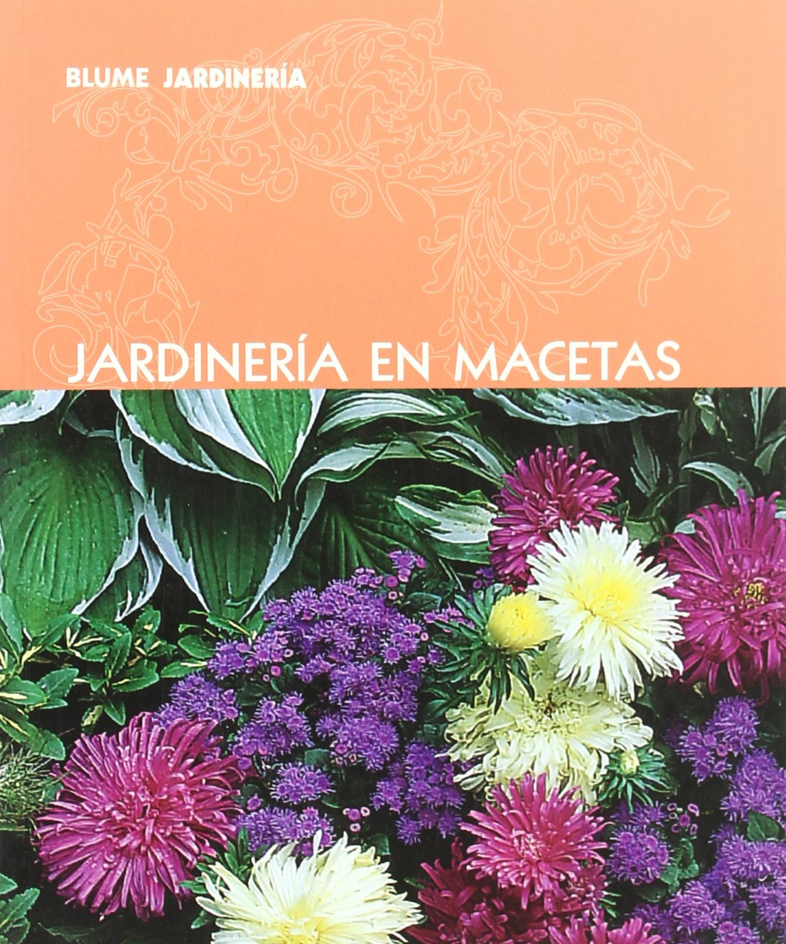 blume jardinería. jardinería en macetas