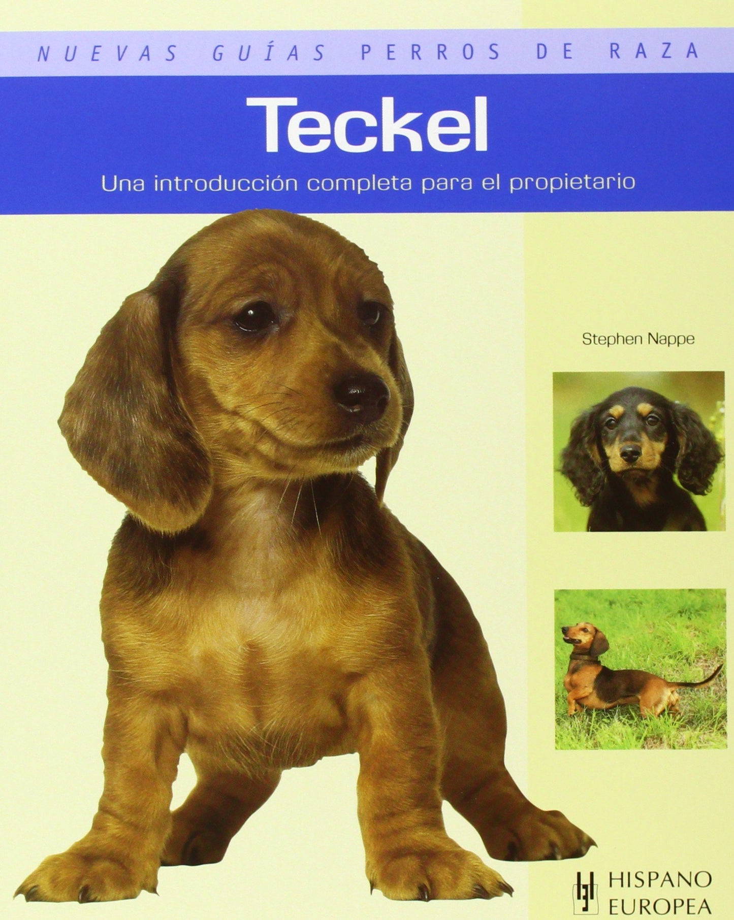 teckel (nuevas guías perros de raza)