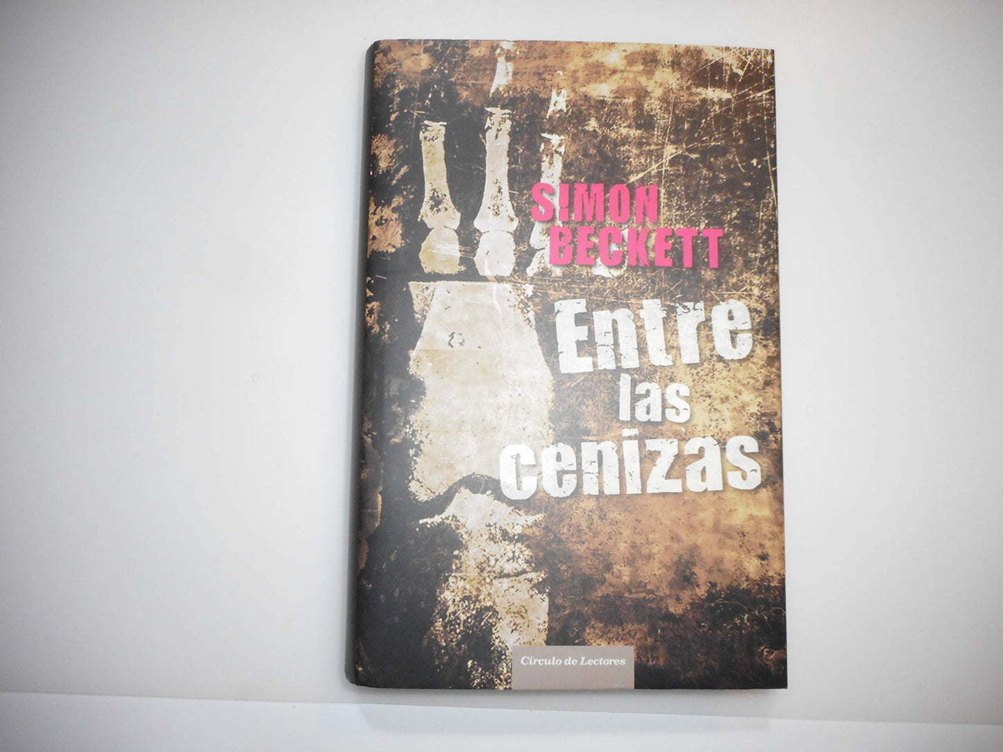 entre las cenizas