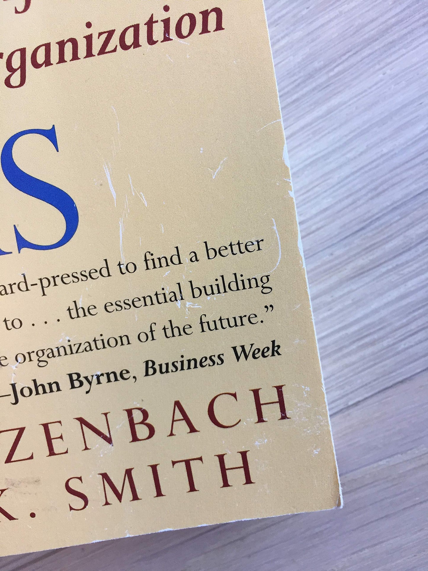 the wisdom of teams: creating the high-performance organization