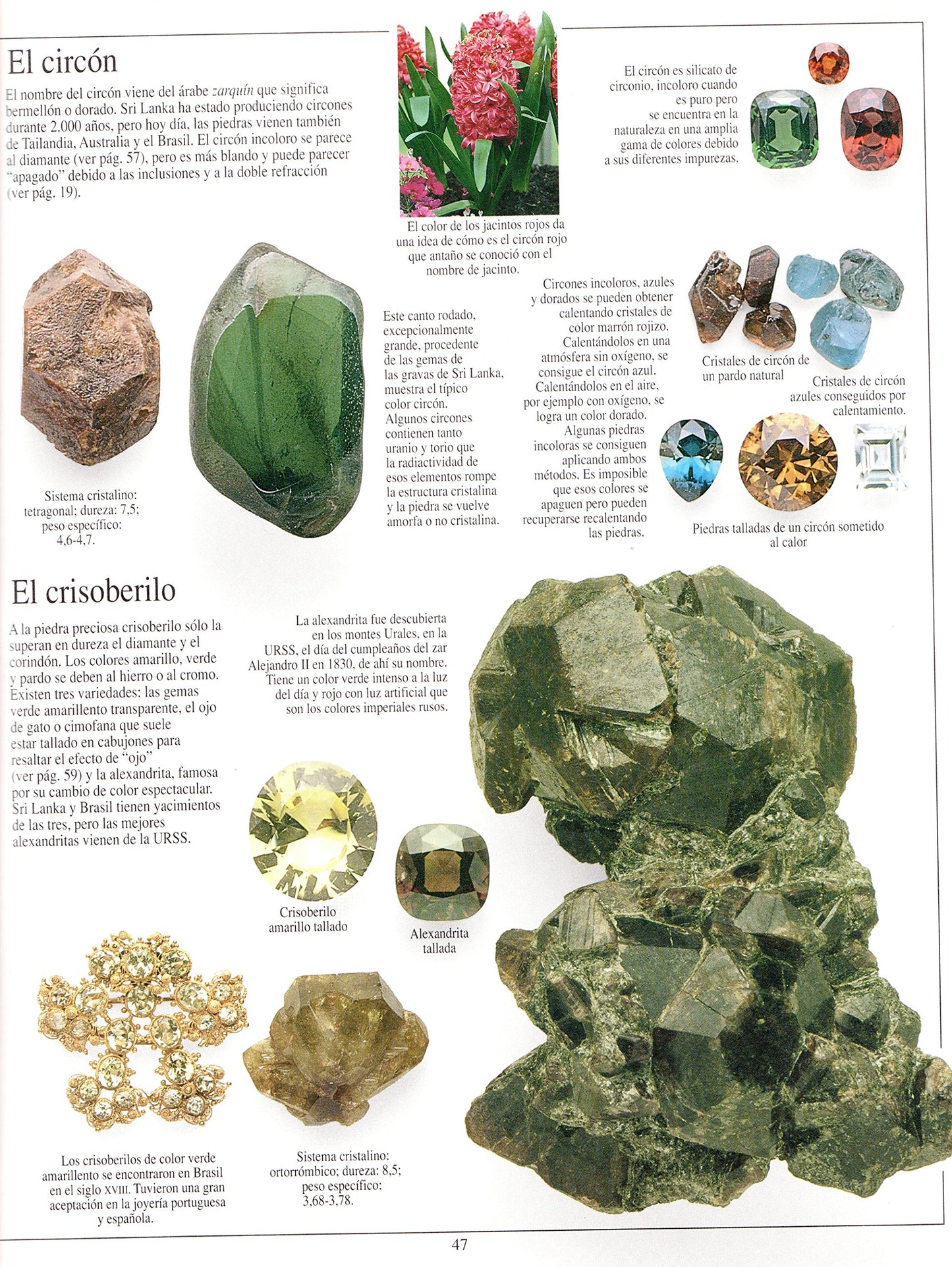 piedras preciosas y joyas (eyewitness series in spanish)