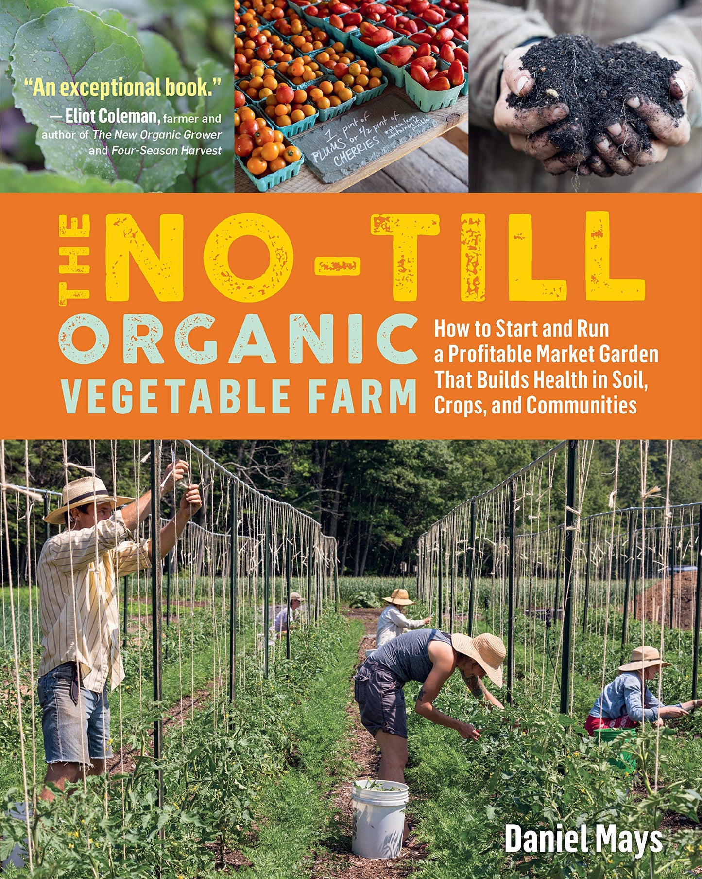 the no-till organic vegetable farm: how to start and run a profitable market garden that builds health in soil, crops, and communities