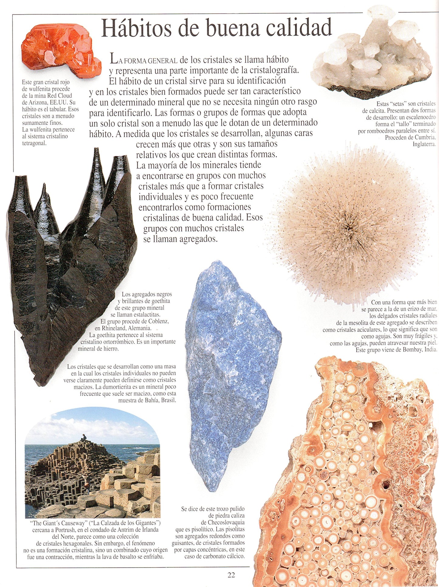 piedras preciosas y joyas (eyewitness series in spanish)