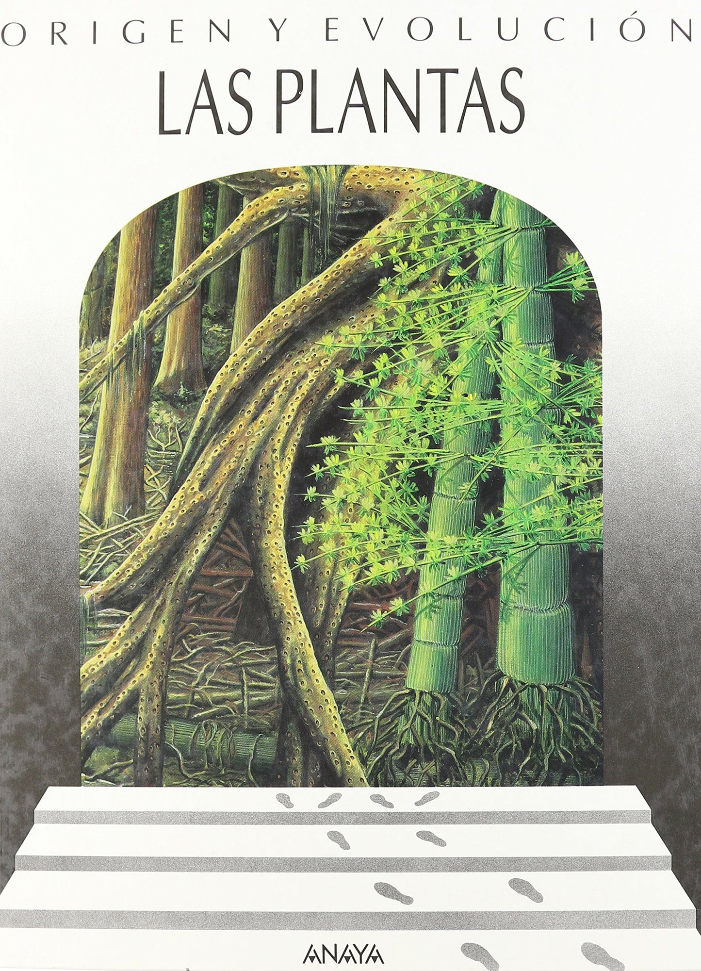 plantas, las (coleccion)